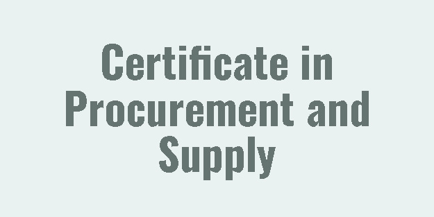 Certified-Beginner-In-Supply-Chain-54 (1)